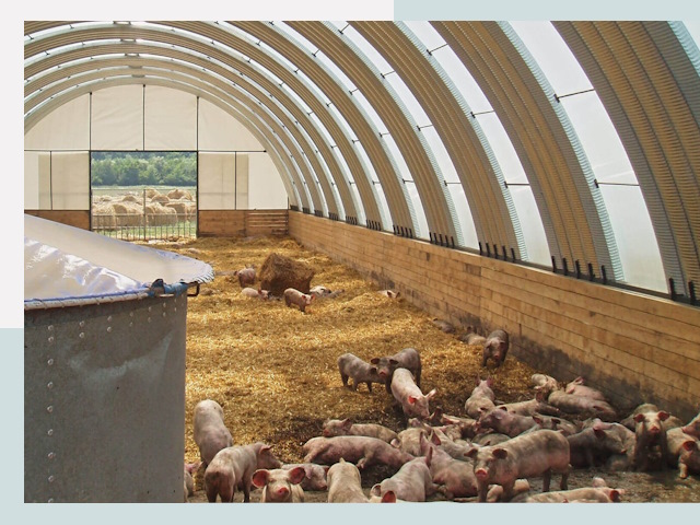 Строительство свинарников в Усолье-Сибирском